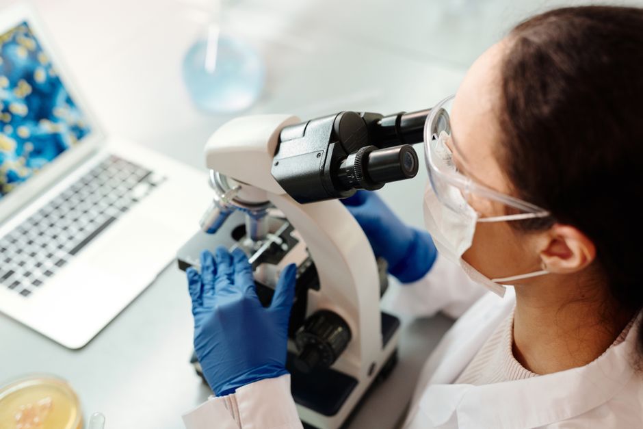 New MIT Study Finds Keto Raises Small Intestine Tumor Risk