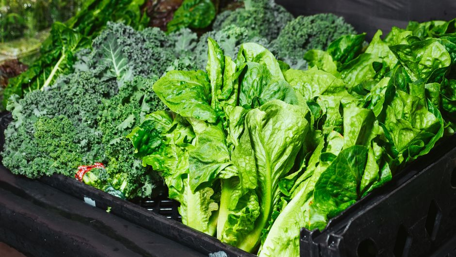 The Best Leafy Greens For Your Keto Diet